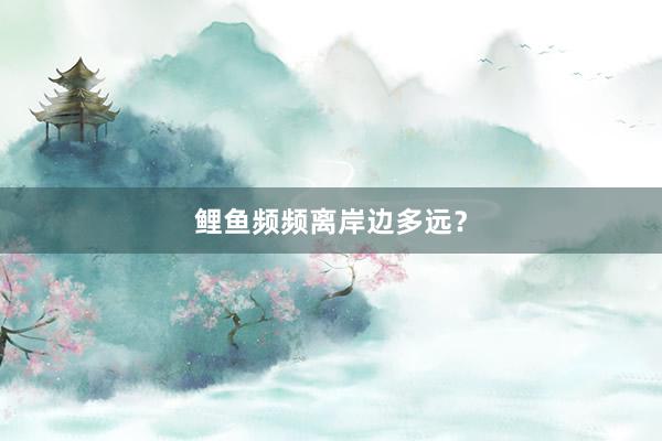 鲤鱼频频离岸边多远？